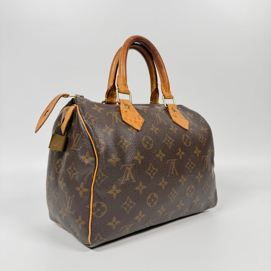 Louis Vuitton Speedy (25)