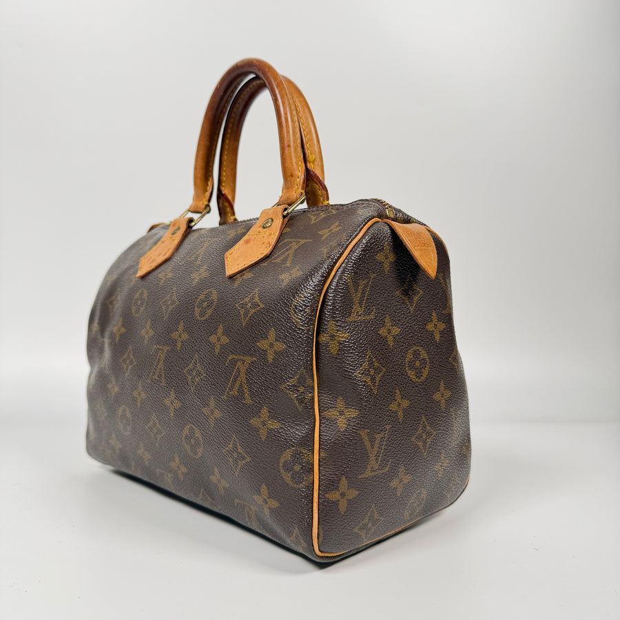 Louis Vuitton Speedy (25)