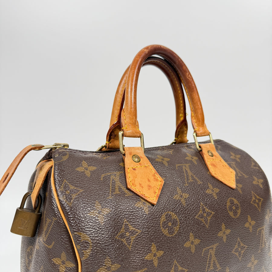 Louis Vuitton Speedy (25)