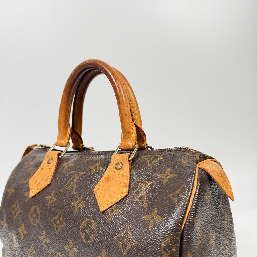 Louis Vuitton Speedy (25)