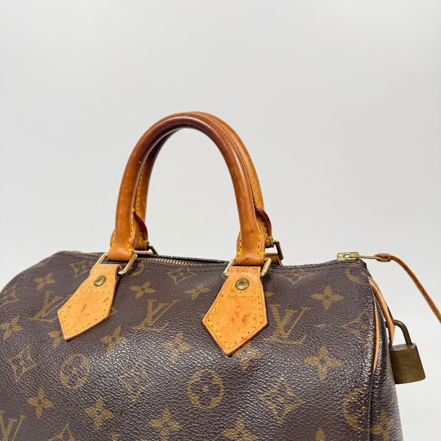 Louis Vuitton Speedy (25)