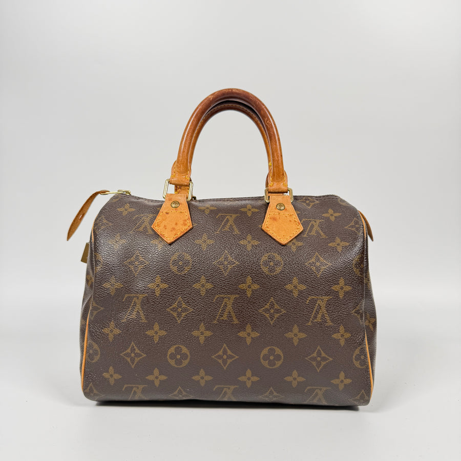 Louis Vuitton Speedy (25)