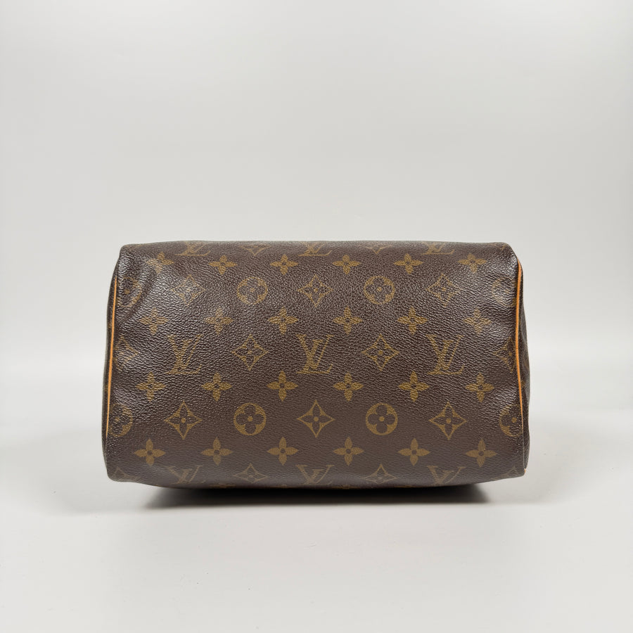 Louis Vuitton Speedy (25)