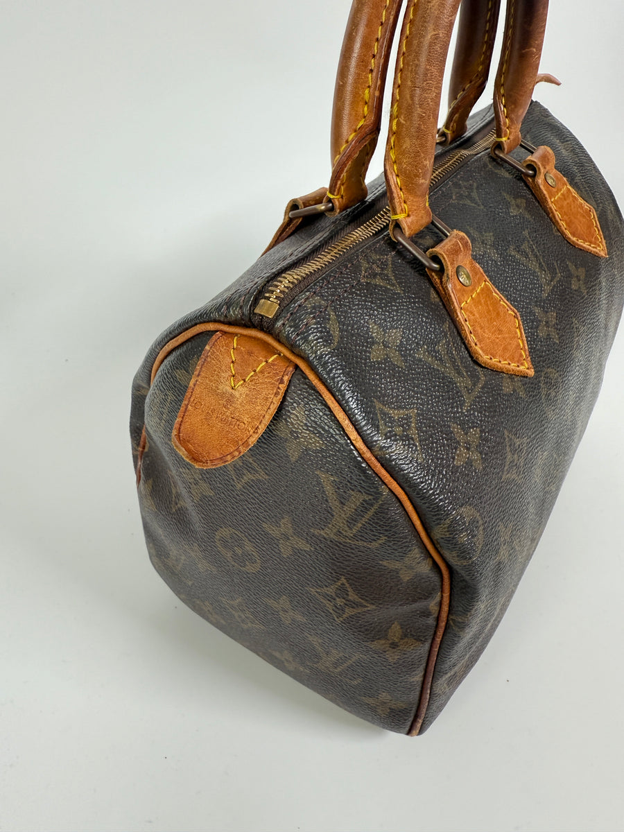 Louis Vuitton Speedy (25)