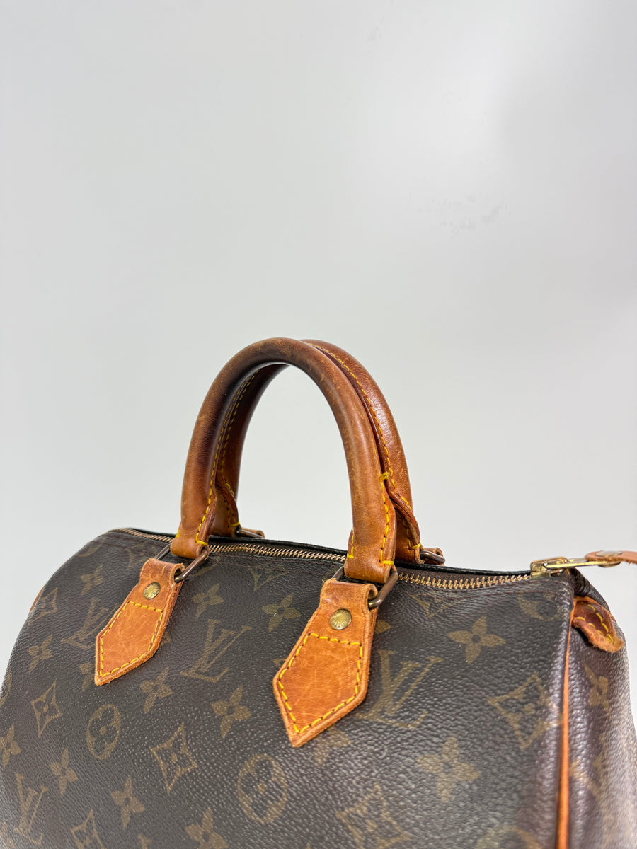 Louis Vuitton Speedy (25)