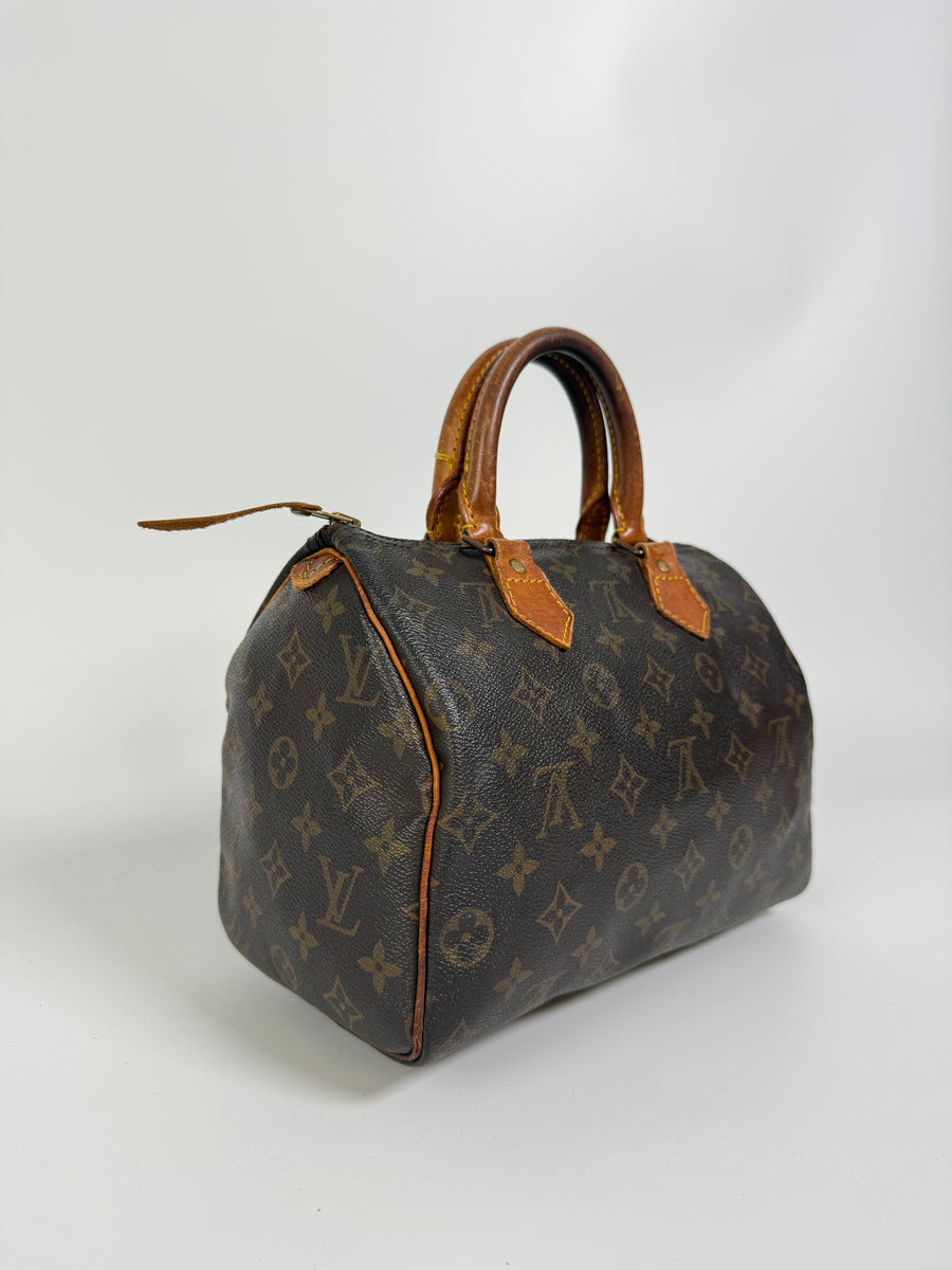 Louis Vuitton Speedy (25)