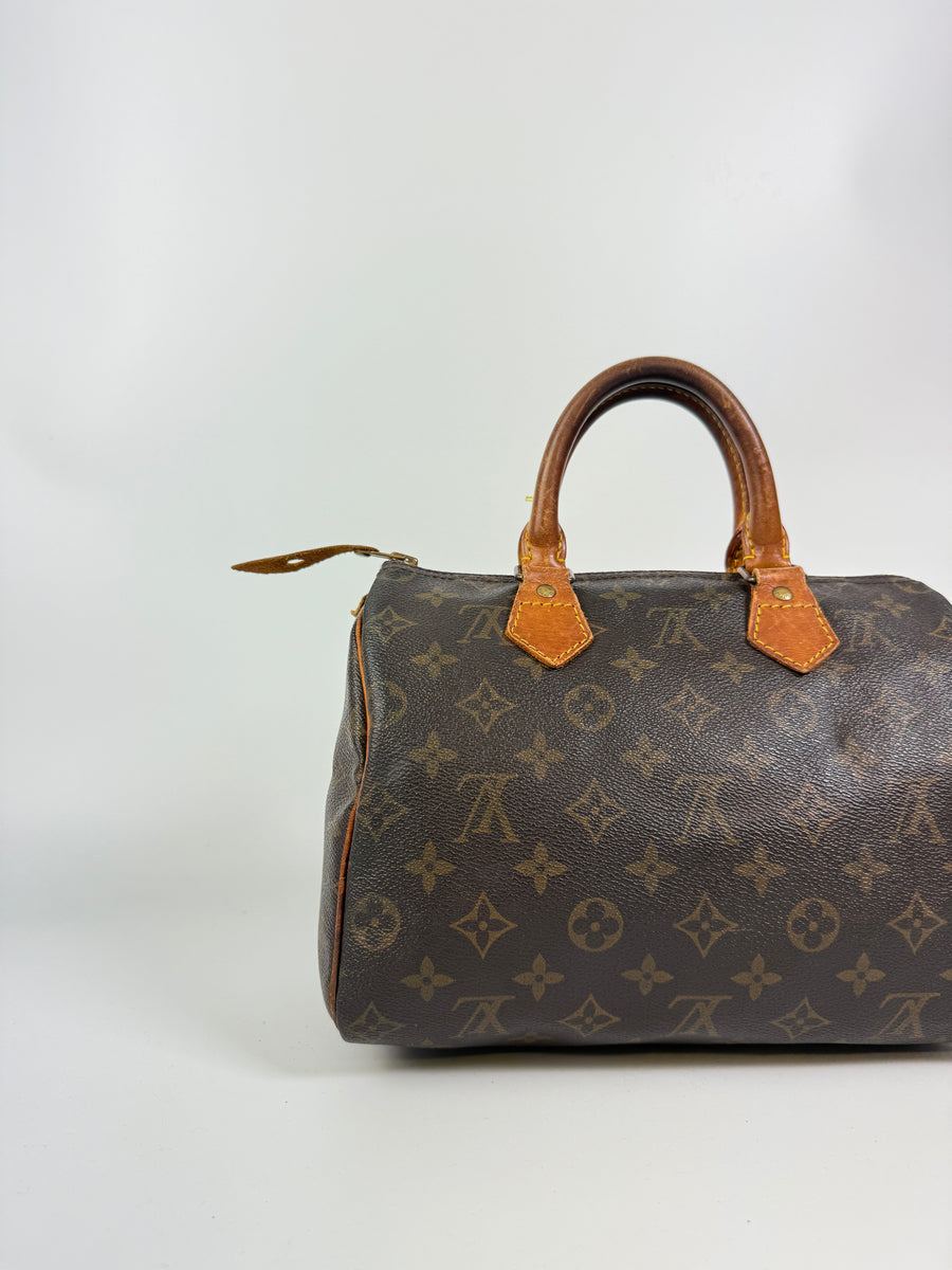 Louis Vuitton Speedy (25)
