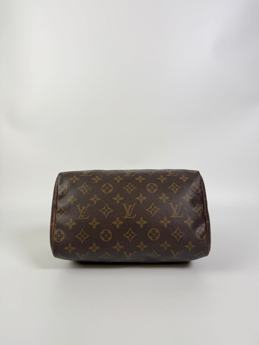 Louis Vuitton Speedy (25)