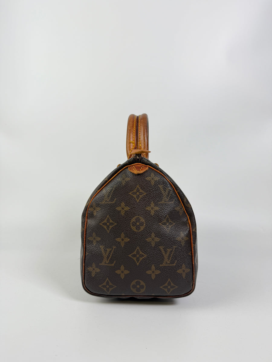 Louis Vuitton Speedy (25)