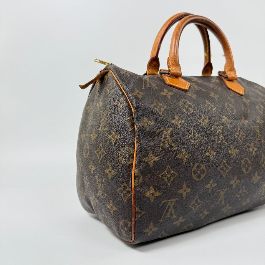 Louis Vuitton Speedy (30)