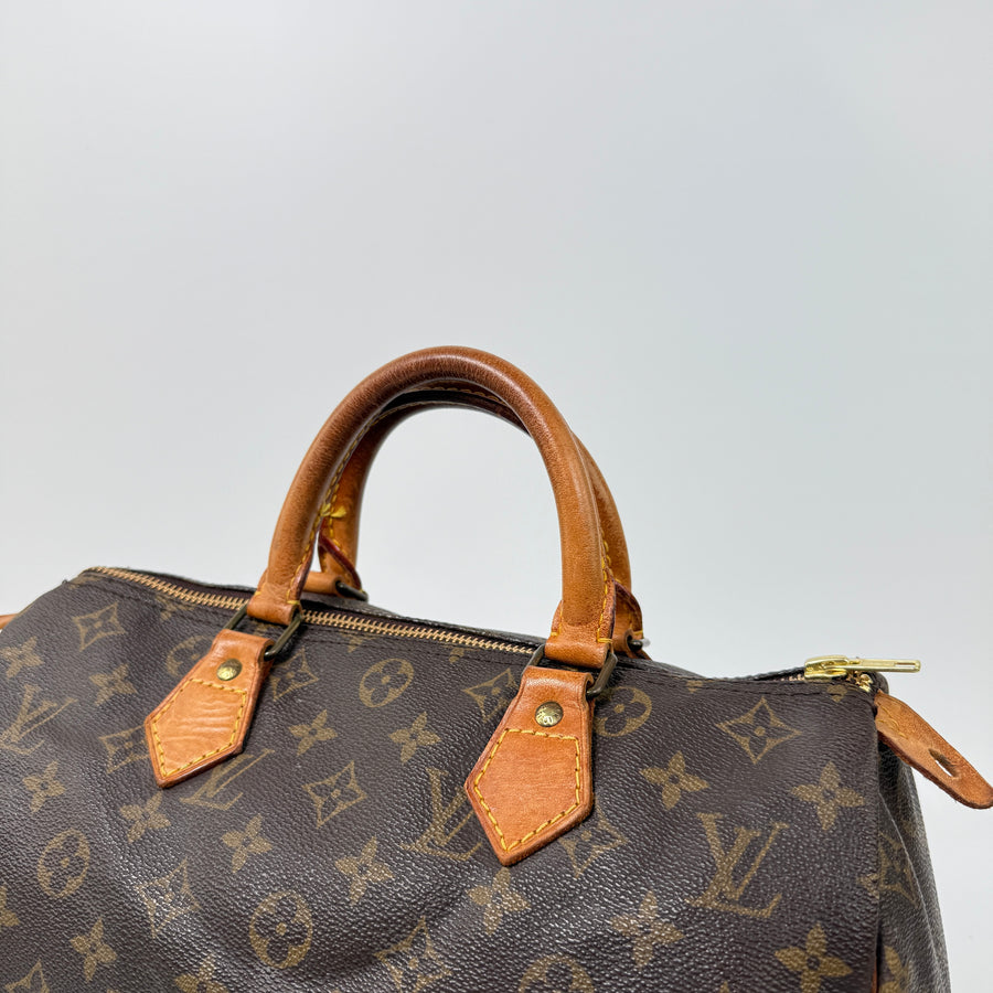 Louis Vuitton Speedy (30)