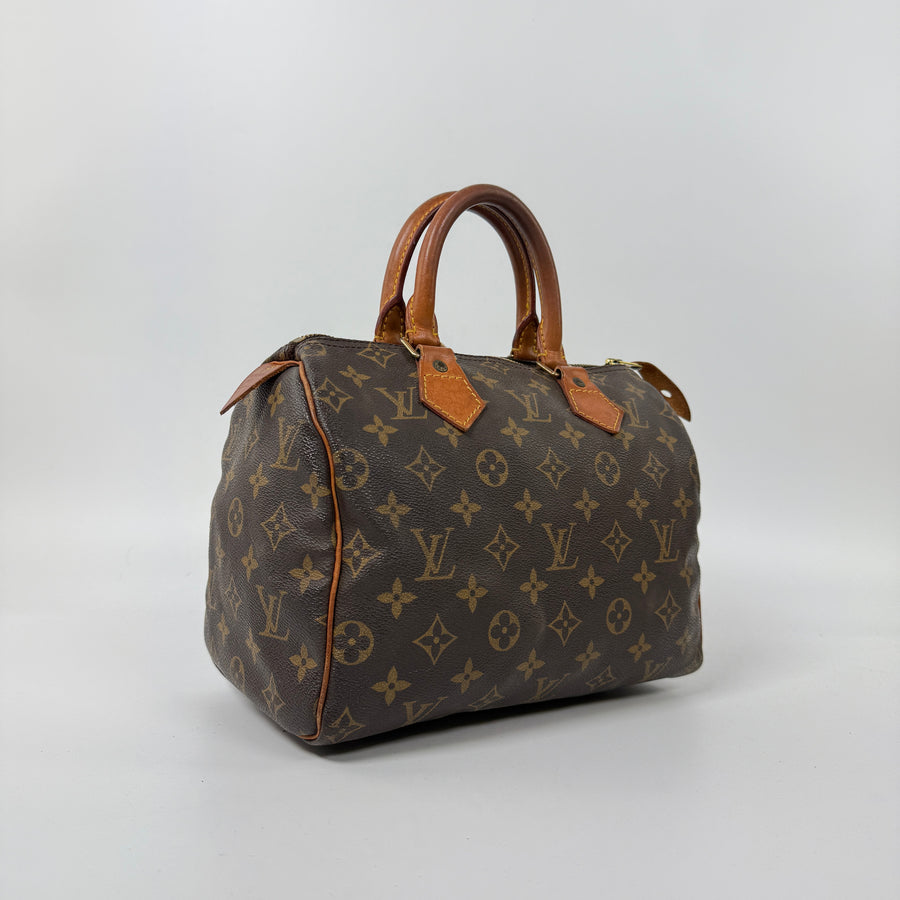 Louis Vuitton Speedy (25)