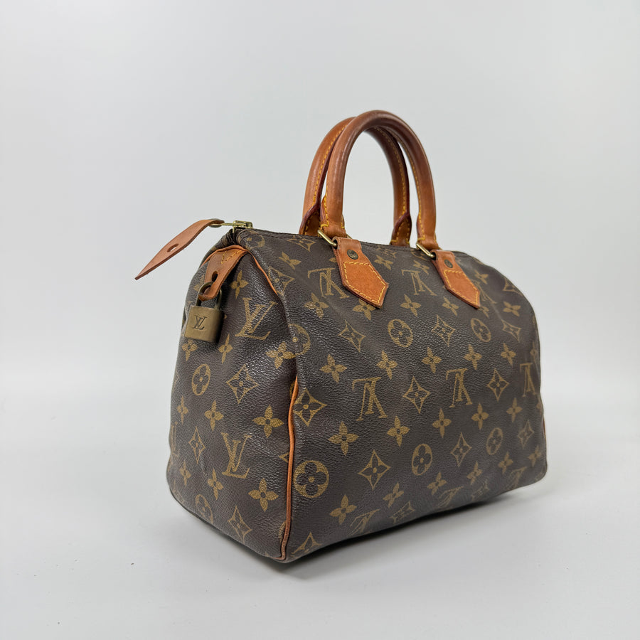 Louis Vuitton Speedy (25)