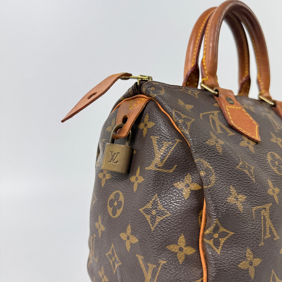 Louis Vuitton Speedy (25)