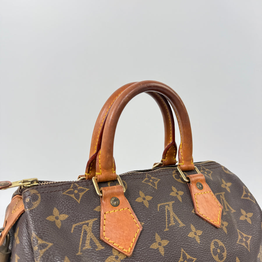 Louis Vuitton Speedy (25)