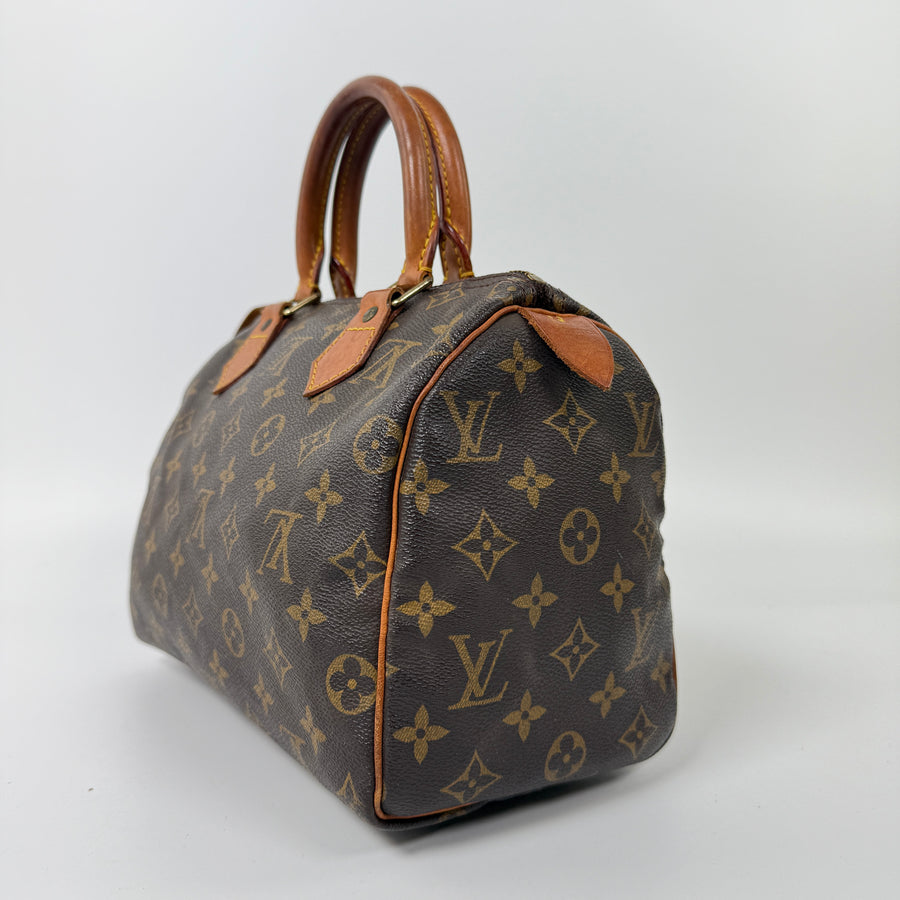 Louis Vuitton Speedy (25)