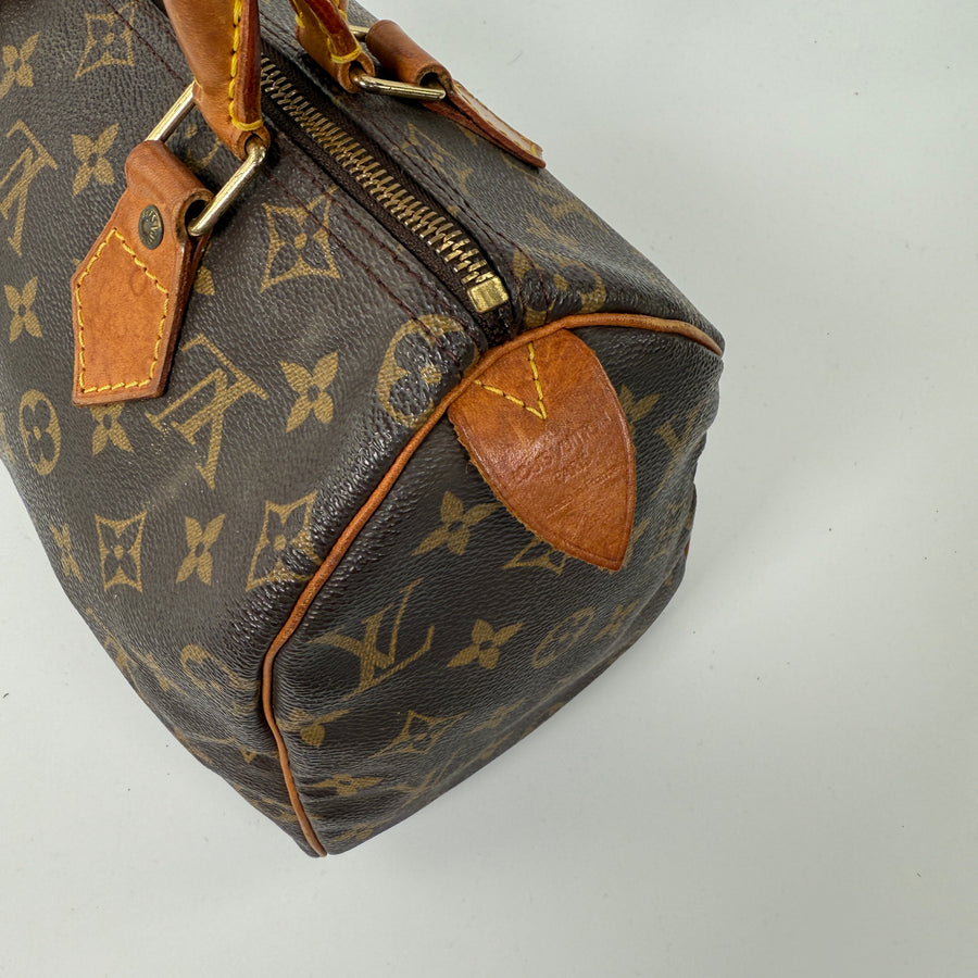 Louis Vuitton Speedy (25)