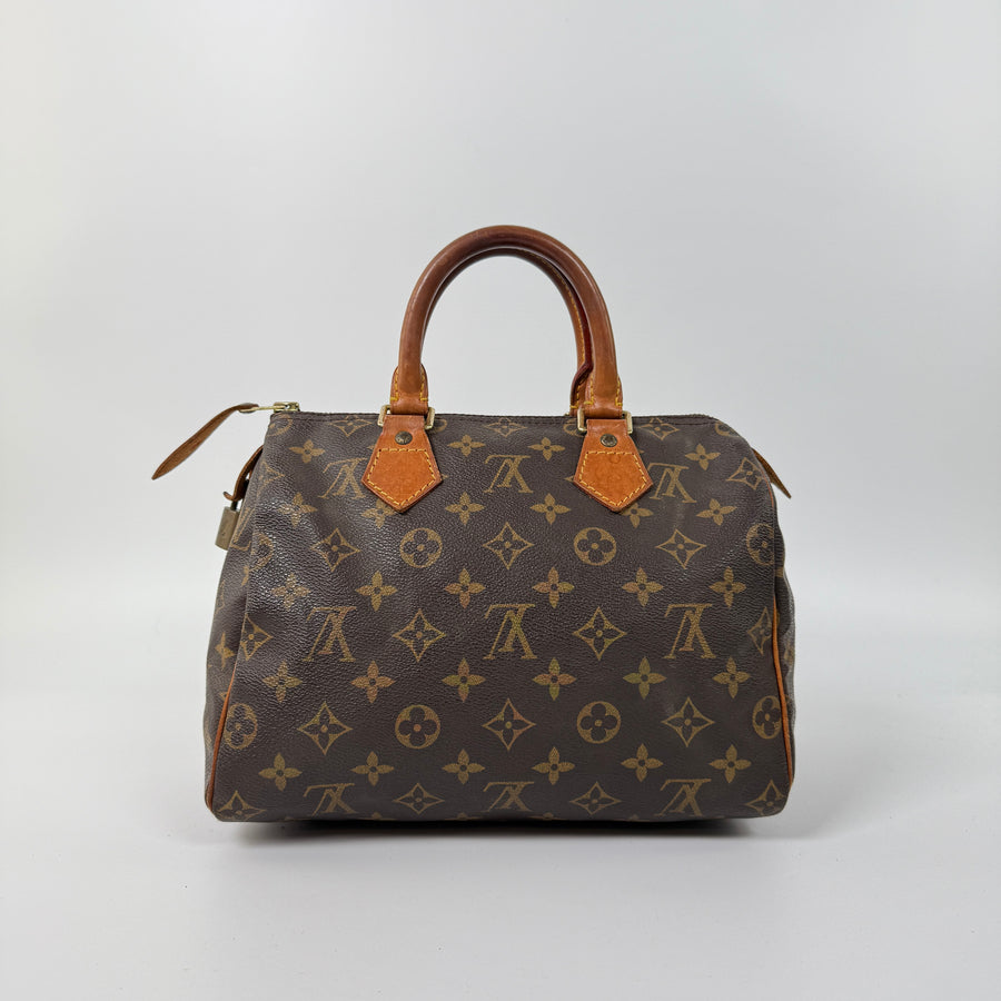 Louis Vuitton Speedy (25)