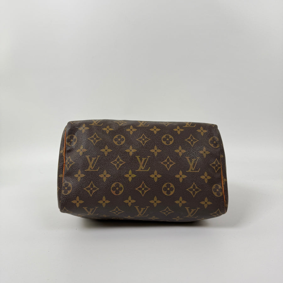 Louis Vuitton Speedy (25)
