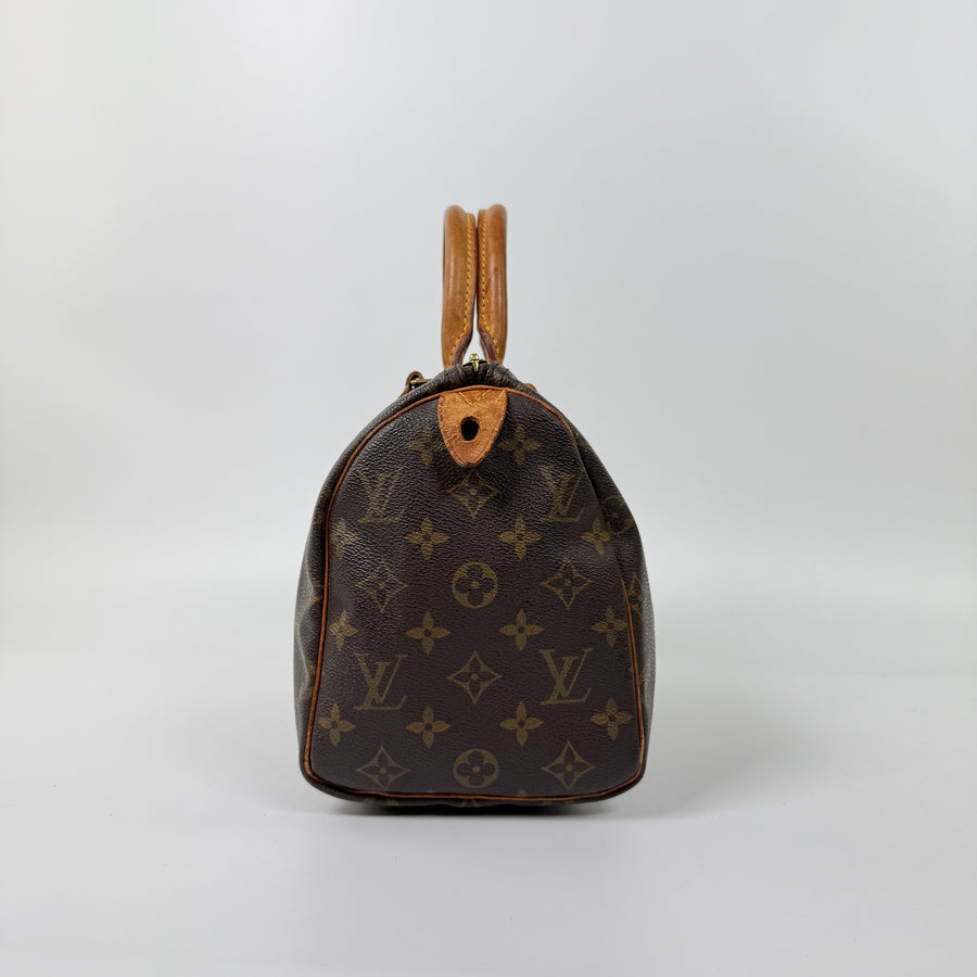 Louis Vuitton Speedy (25)