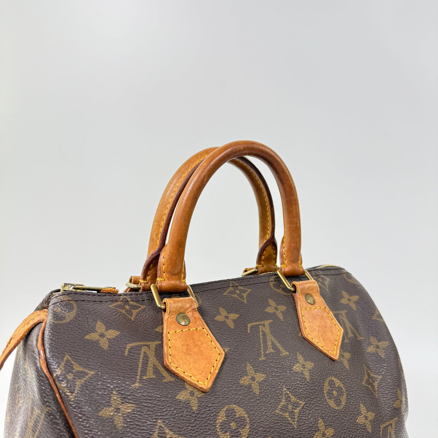 Louis Vuitton Speedy (25)