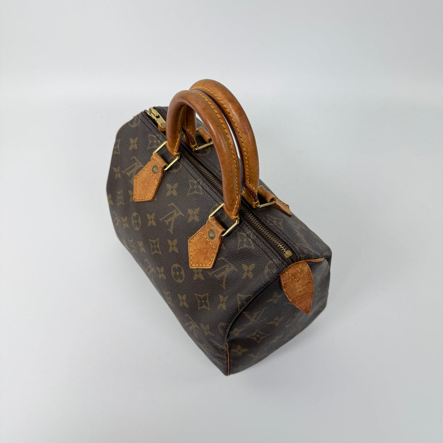 Louis Vuitton Speedy (25)