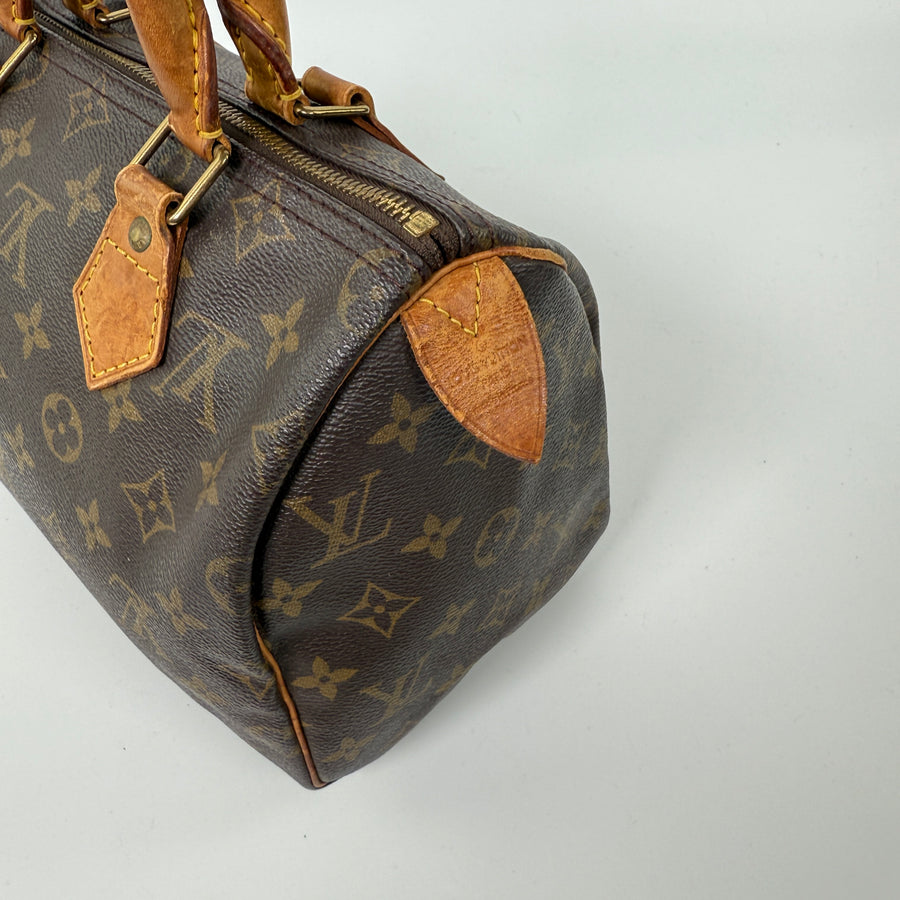 Louis Vuitton Speedy (25)