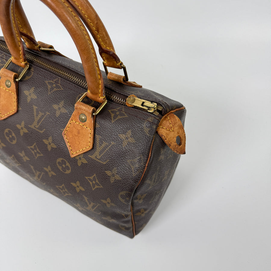 Louis Vuitton Speedy (25)