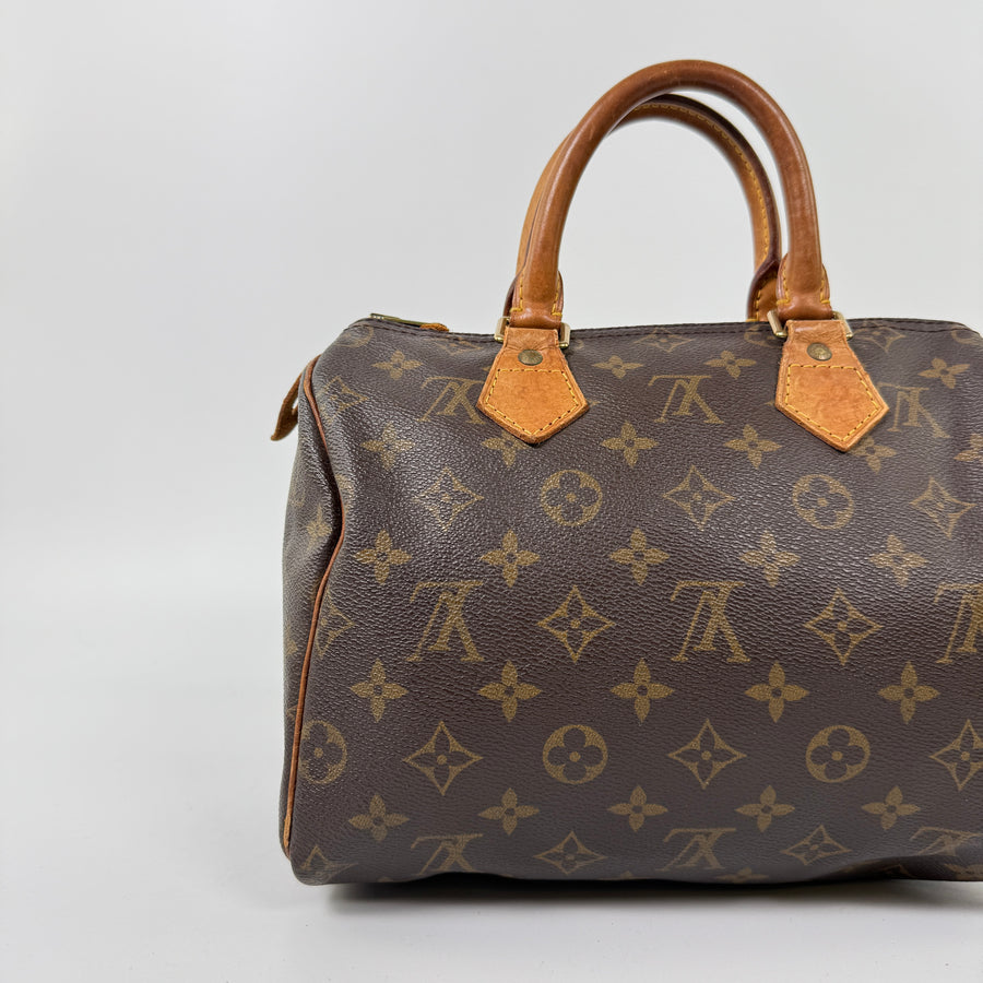 Louis Vuitton Speedy (25)