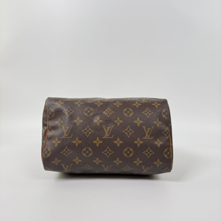 Louis Vuitton Speedy (25)