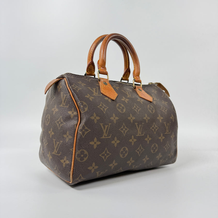 Louis Vuitton Speedy (25)