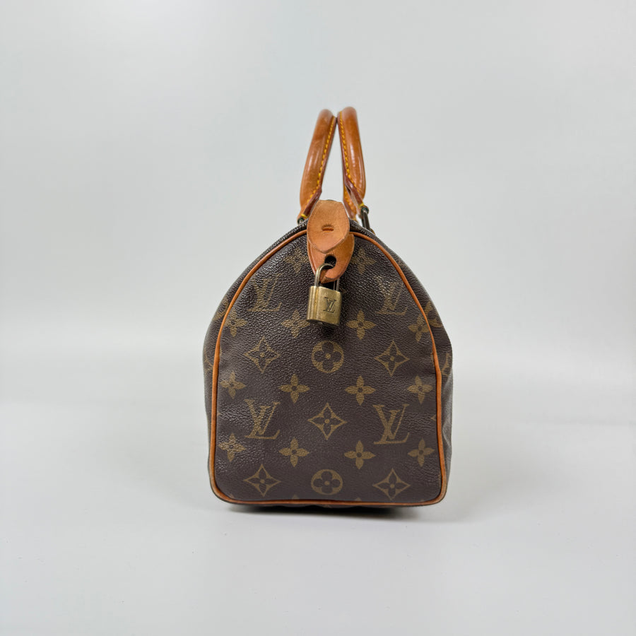 Louis Vuitton Speedy (25)