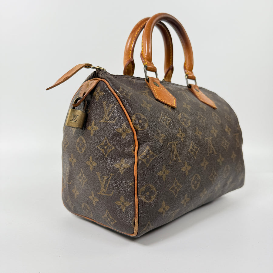 Louis Vuitton Speedy (25)