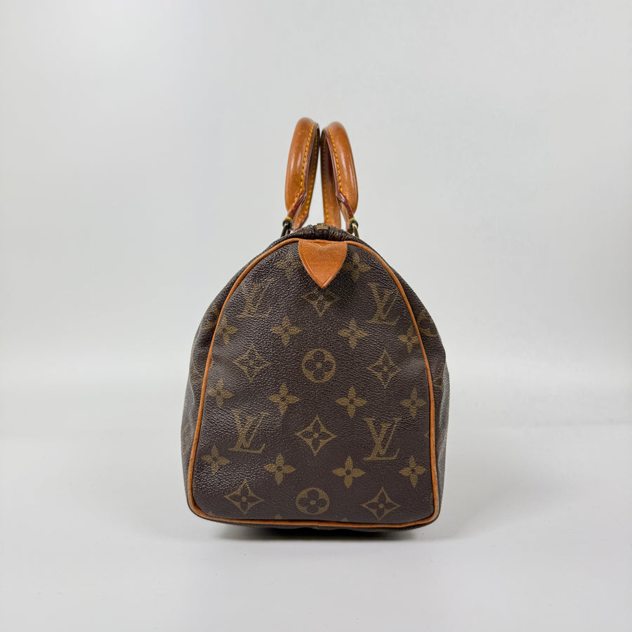 Louis Vuitton Speedy (25)