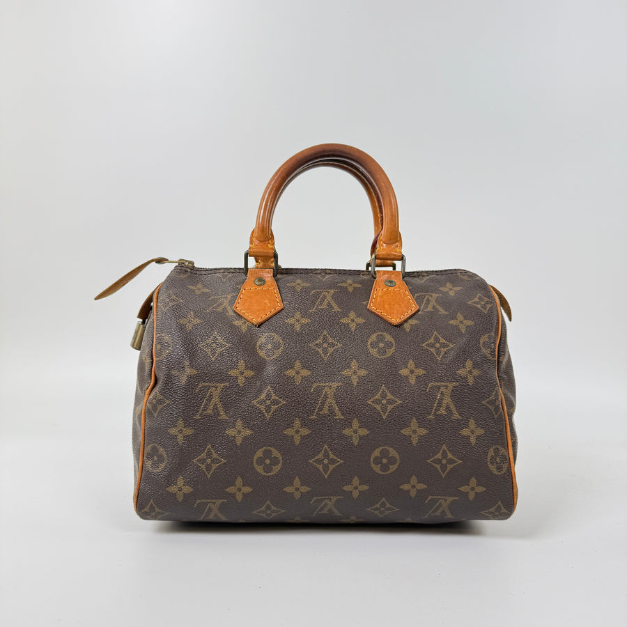 Louis Vuitton Speedy (25)