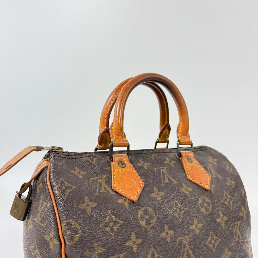 Louis Vuitton Speedy (25)