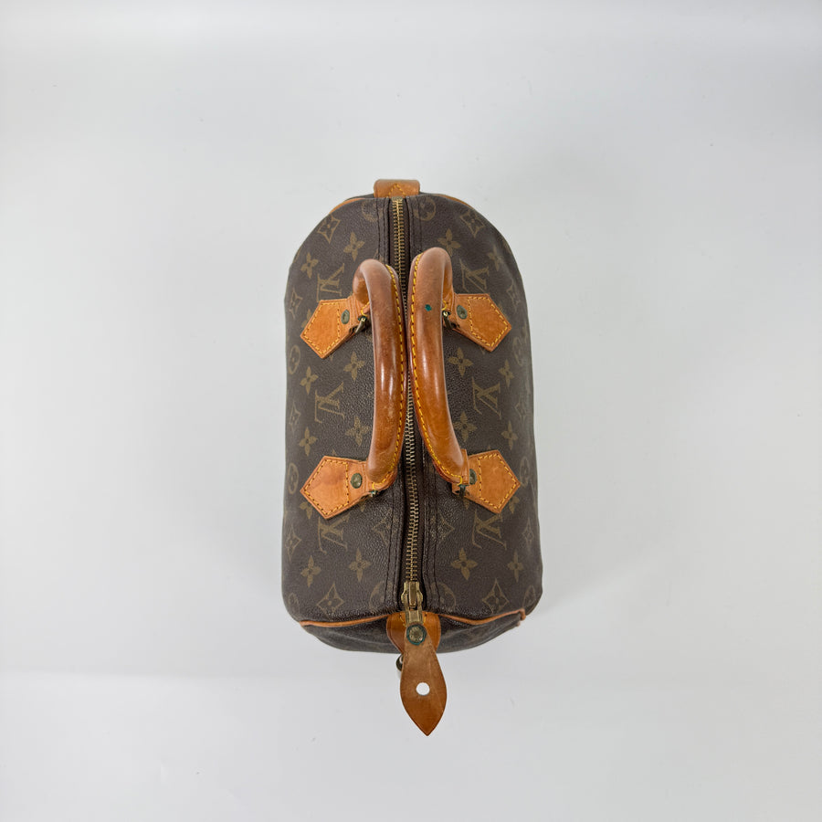 Louis Vuitton Speedy (25)