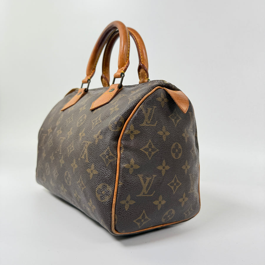 Louis Vuitton Speedy (25)