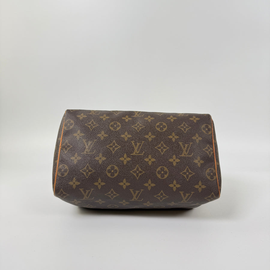 Louis Vuitton Speedy (25)
