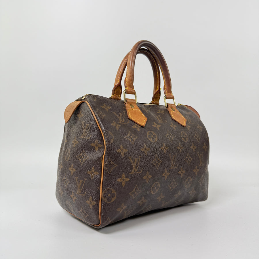 Louis Vuitton Speedy (25)