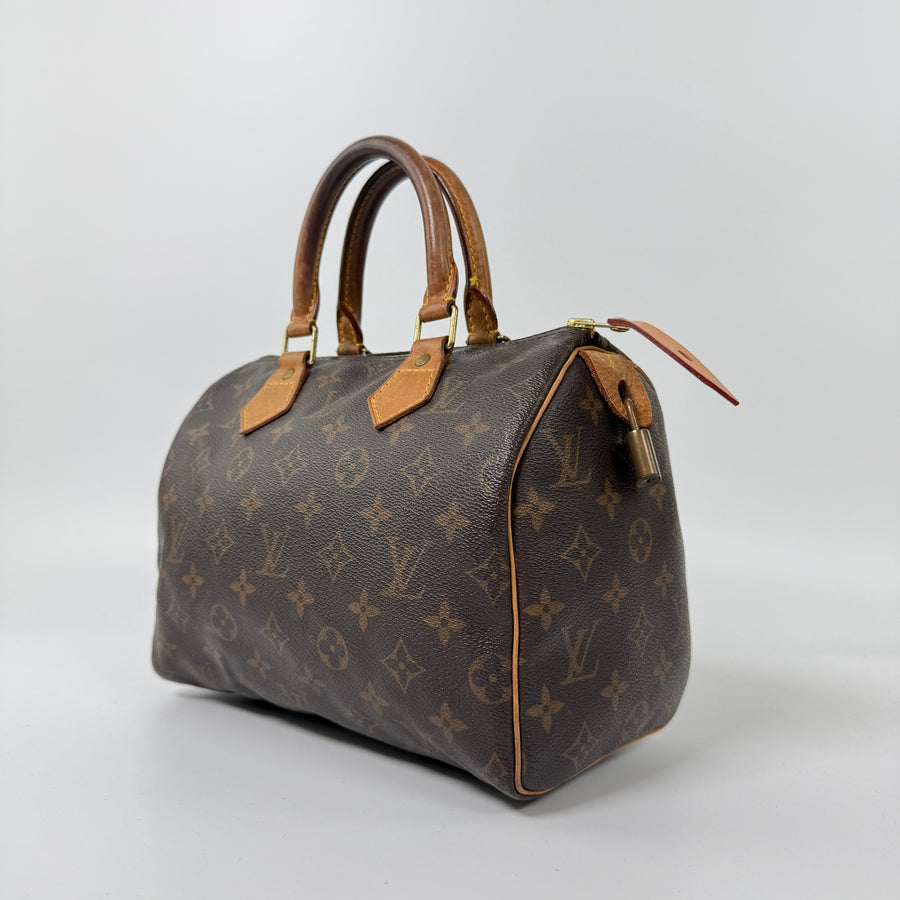 Louis Vuitton Speedy (25)