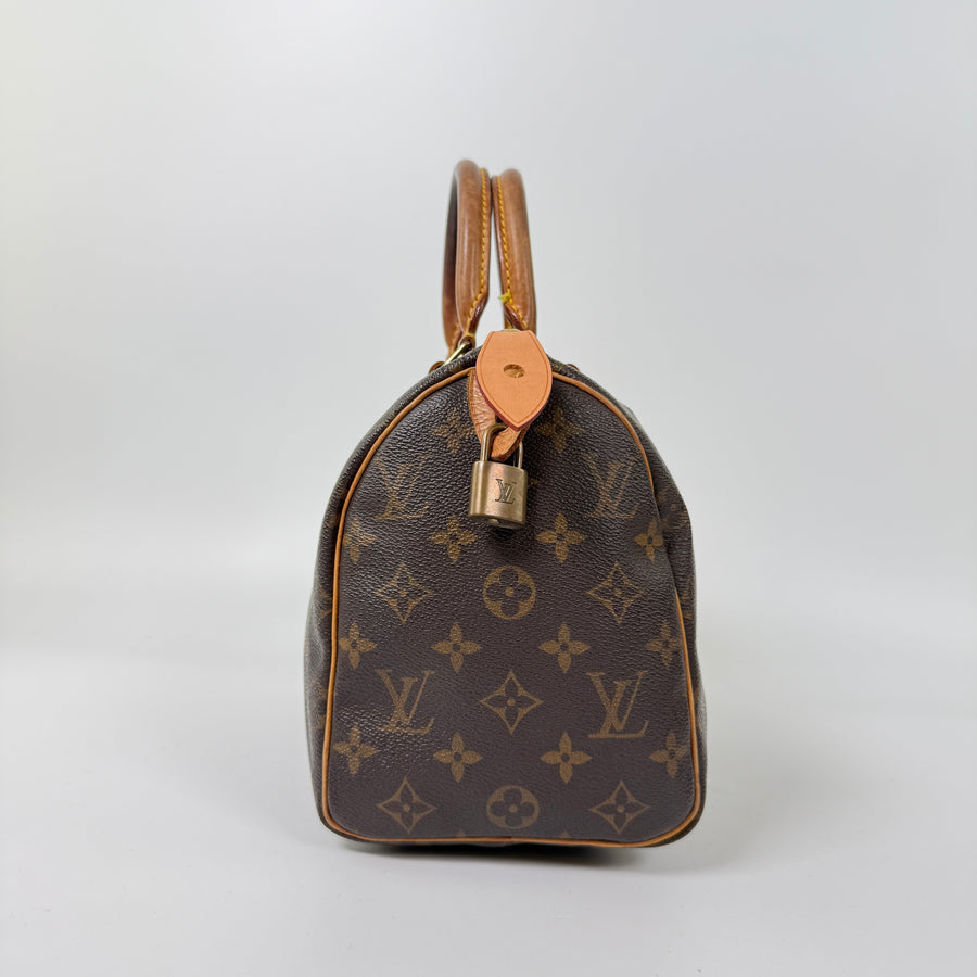 Louis Vuitton Speedy (25)