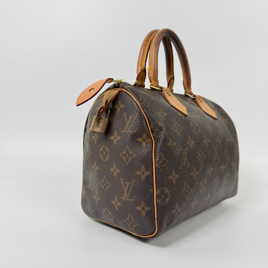 Louis Vuitton Speedy (25)