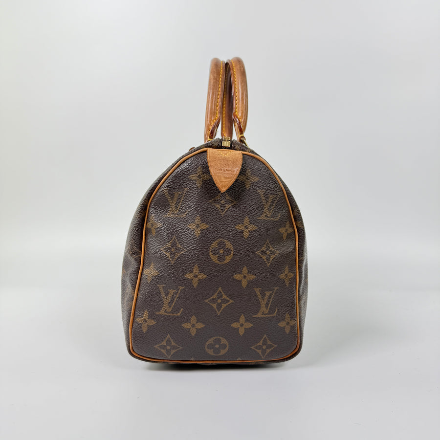 Louis Vuitton Speedy (25)