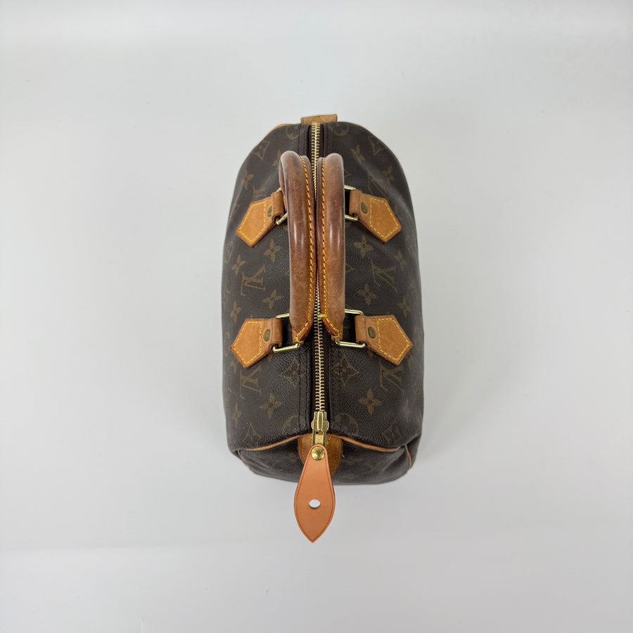 Louis Vuitton Speedy (25)