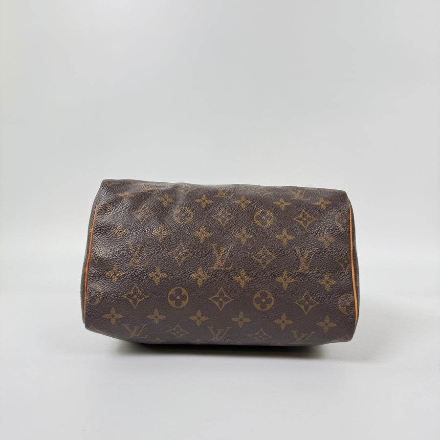 Louis Vuitton Speedy (25)