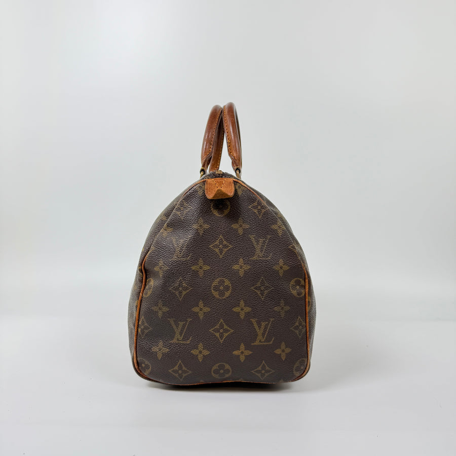 Louis Vuitton Speedy (30)