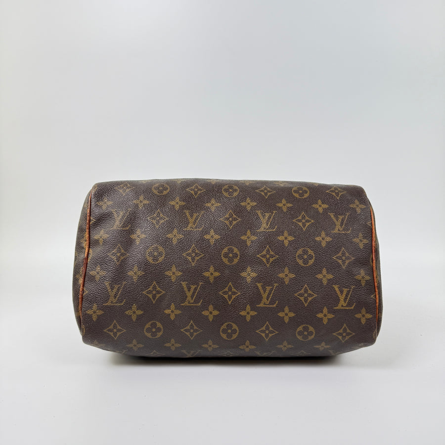 Louis Vuitton Speedy (30)