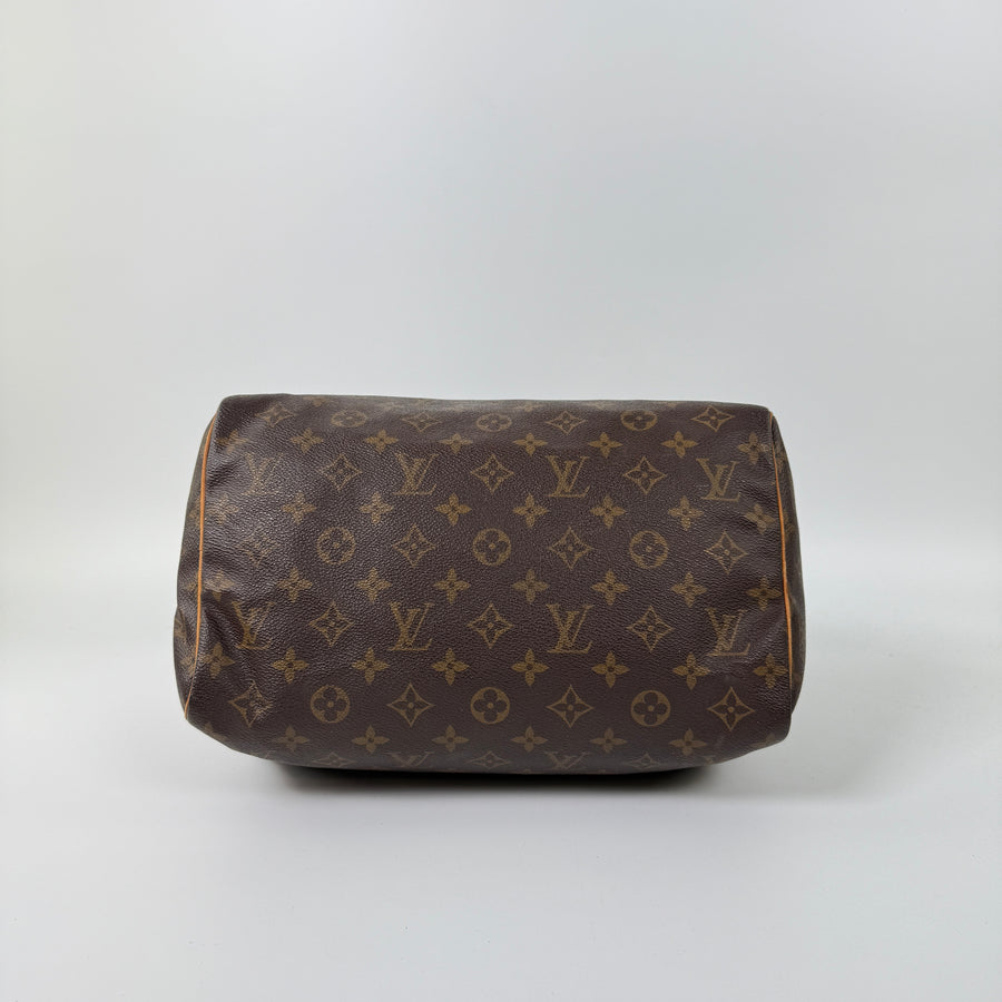 Louis Vuitton Speedy (30)