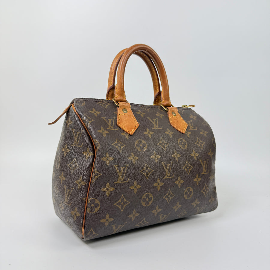 Louis Vuitton Speedy (25)